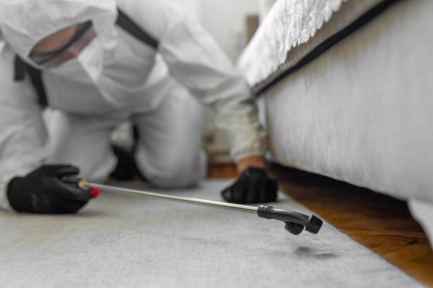 Professional Bed Bug Control technician working in Clearwater County County, MN